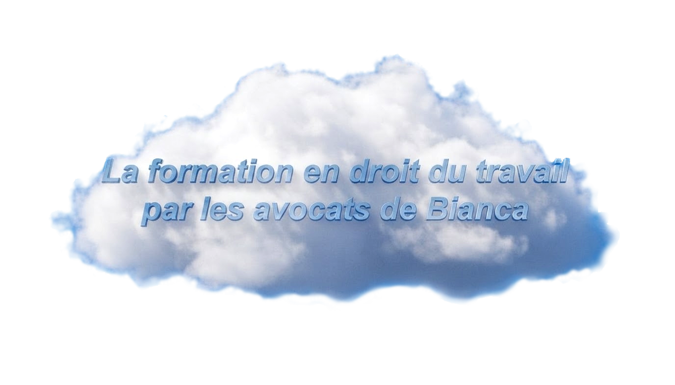 La formation par les avocats de Bianca